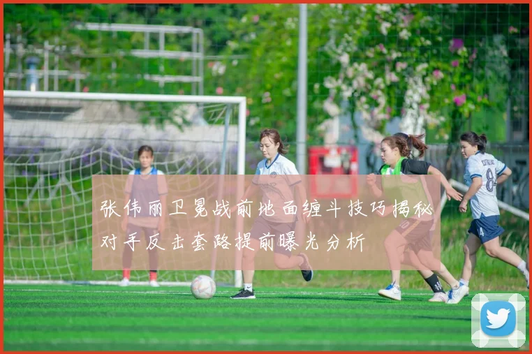 张伟丽卫冕战前地面缠斗技巧揭秘对手反击套路提前曝光分析